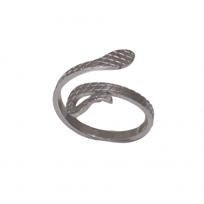 Δαχτυλίδι σε σχέδιο φίδι